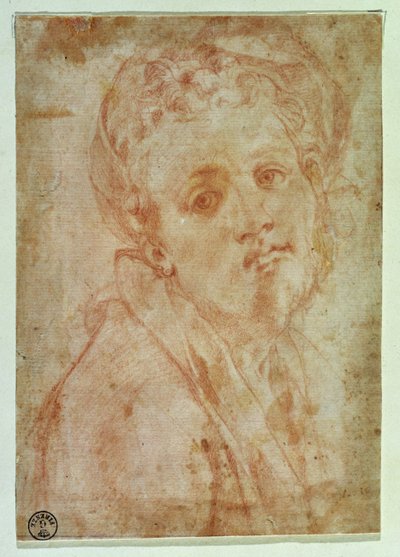 Zelfportret door Jacopo Pontormo