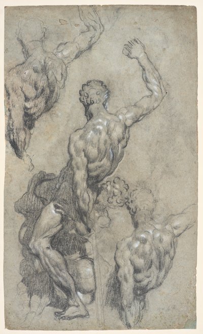 Studies van Michelangelo