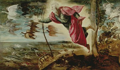 Schepping van de dieren door Jacopo Robusti Tintoretto