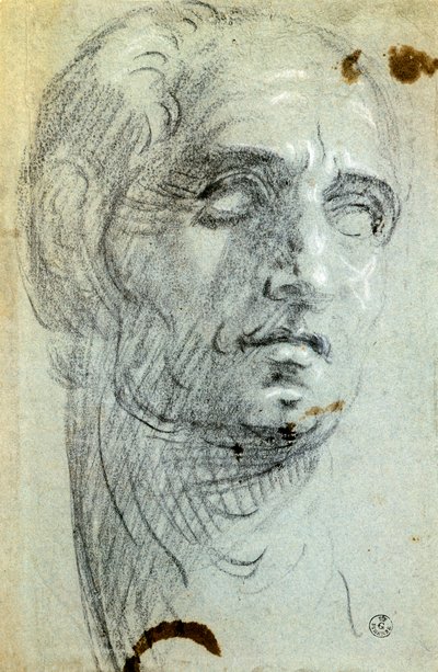 Mannelijk hoofd door Jacopo Robusti Tintoretto