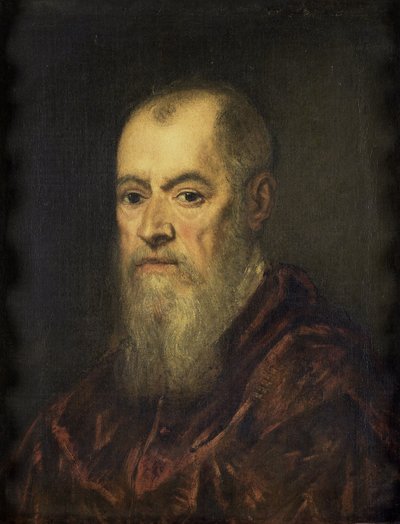 Portret van een Man met een Rode Mantel door Jacopo Robusti Tintoretto