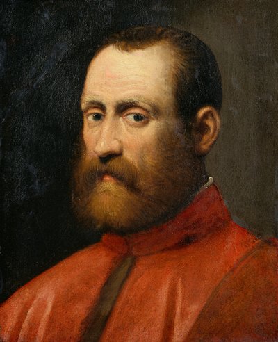 Portret van een Procurator door Jacopo Robusti Tintoretto