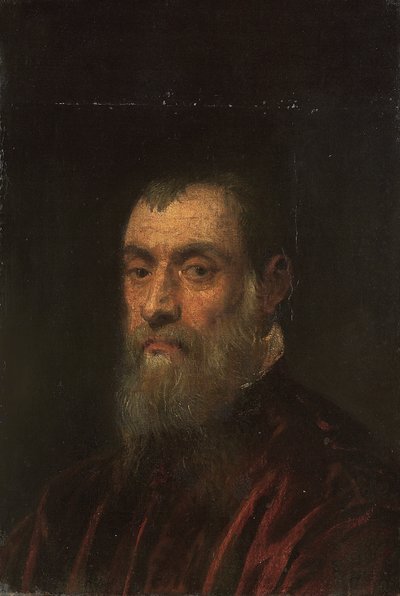 Portret van een bebaarde man, borstbeeld, in een rode jurk door Jacopo Robusti Tintoretto