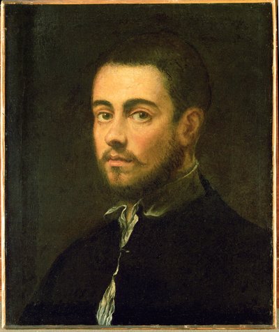 Jonge man met baard ... (olieverf op doek) door Jacopo Robusti Tintoretto