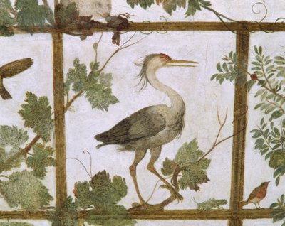 Ibis, uit een Fresco van een Volière in de Villa Medici, ca. 1576-77 door Jacopo Zucchi