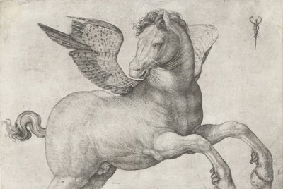 Pegasus, 1509-16 door Jacopo de Barbari