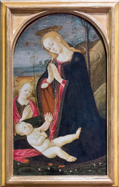 Aanbidding van Christus met de jonge Sint Johannes de Doper door Jacopo del Sellaio