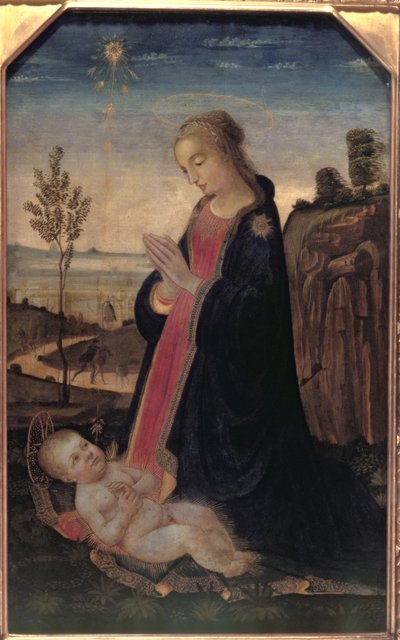 Madonna en kind in een landschap door Jacopo del Sellaio