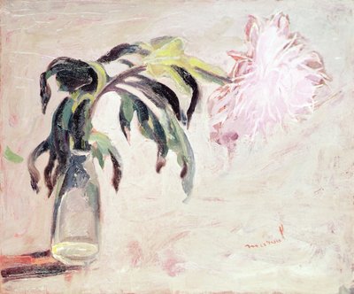 Een chrysant in een fles door Jacqueline Marval