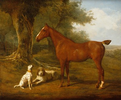 Een Kastanjebruine Jager met een Briard en een Dalmatiër door Jacques Laurent Agasse