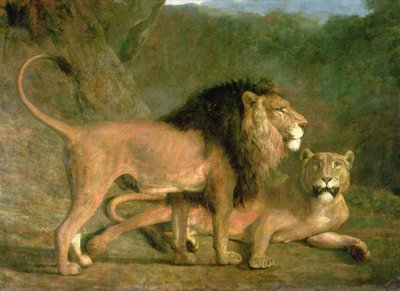 Een leeuw en een leeuwin in een rotsachtige vallei door Jacques Laurent Agasse