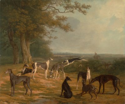 Negen windhonden in een landschap door Jacques-Laurent Agasse
