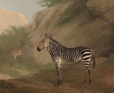 Zebra door Jacques-Laurent Agasse