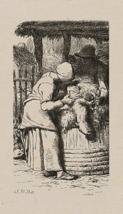 Vrouw Scheert Schapen door Jacques Adrien Lavieille