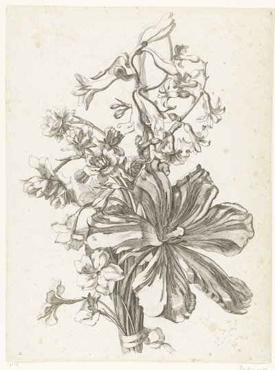 Boeket met een tulp, een hyacint, brodiaea en narcissen door Jacques Bailly (I)