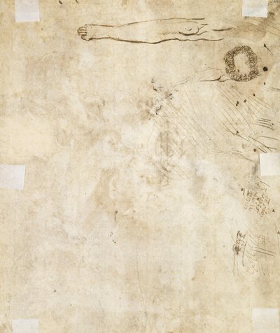 Studie van een been, krul en krabbels, 1610-17 door Jacques Bellange