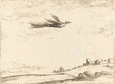 Paradijsvogel door Jacques Callot