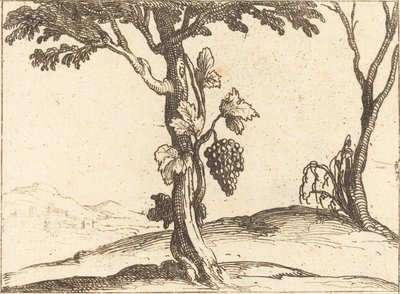 Tros Druiven door Jacques Callot