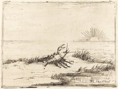 Kreeft kijkt naar de zon door Jacques Callot