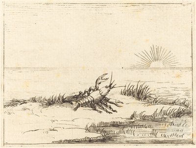 Rivierkreeft Kijkt naar de Zon door Jacques Callot