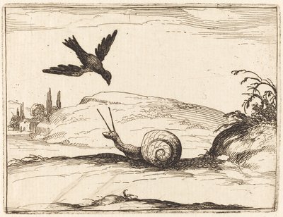 Kraai en Slak door Jacques Callot