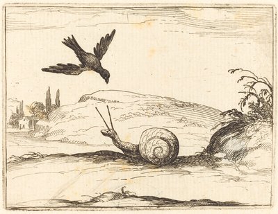 Kraai en slak door Jacques Callot