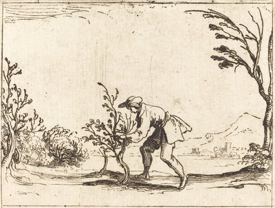 Man die een balsemboom snijdt door Jacques Callot