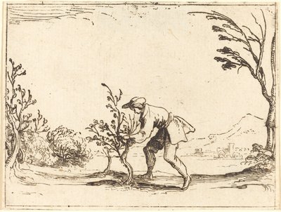 Man die een balsemboom snijdt door Jacques Callot