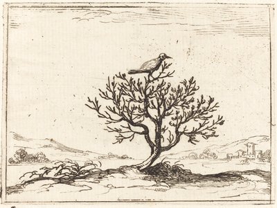 Nachtegaal in een Struik door Jacques Callot