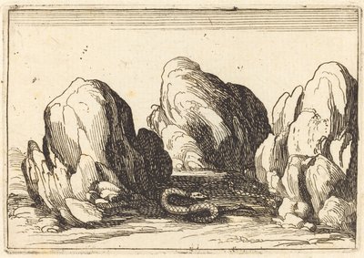 Slang door Jacques Callot
