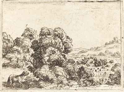 Schaap Roept Lam door Jacques Callot