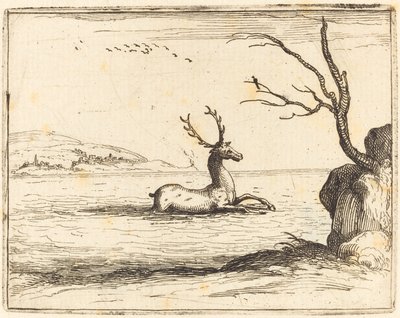 Hert in het Water door Jacques Callot