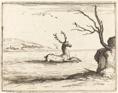 Hert in het Water door Jacques Callot