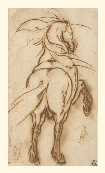 Studie van een steigerend paard door Jacques Callot
