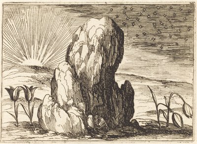 De tulpen en de zon door Jacques Callot