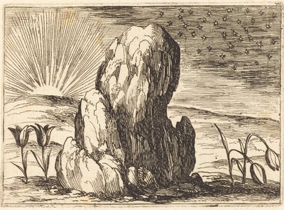 De tulpen en de zon door Jacques Callot