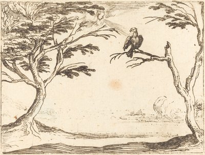 De gier door Jacques Callot