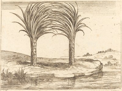 Twee palmbomen door Jacques Callot