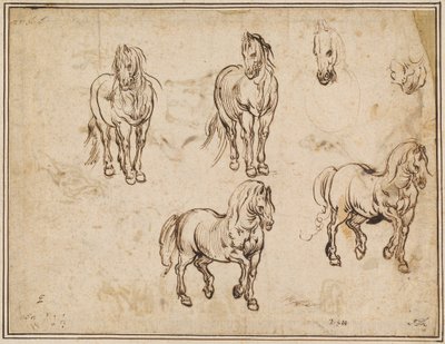 Studies van paarden (recto) door Jacques Callot after Antonio Tempesta