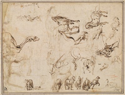Studies van paarden door Jacques Callot after Antonio Tempesta