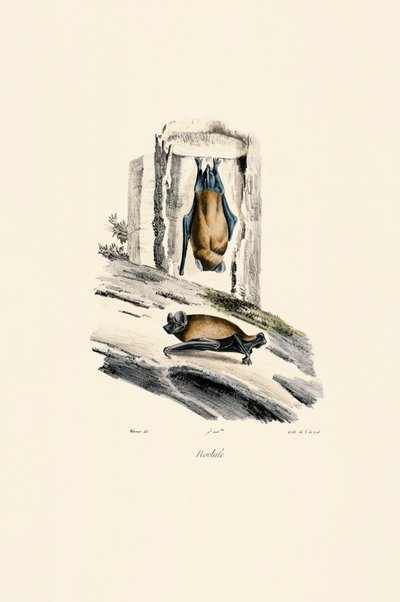  door Jacques Christophe Werner