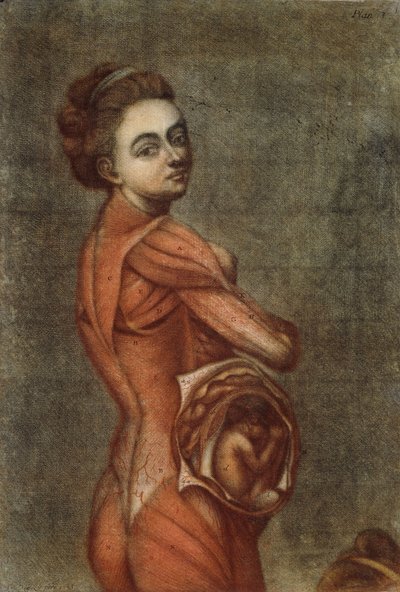 Anatomische illustratie in kleur van een zwangere vrouw, 1778 door Jacques Fabien Gautier dAgoty
