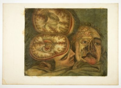 Craniale dissectie, plaat vijf uit Anatomie van het hoofd, in gedrukte schilderijen door Jacques Fabien Gautier d