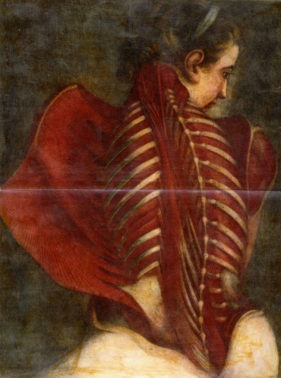 De Gevleugelde Engel, ca. 1745 door Jacques Fabien Gautier dAgoty