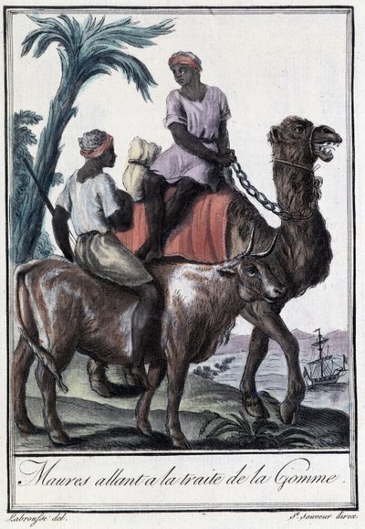 Moren op weg naar de Gum-behandeling - in "Encyclopedia of Voyages" door Grasset St Sauveur, ed. 1796 door Jacques Grasset de Saint Sauveur