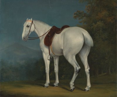 Het grijze jachtpaard van een dame door Jacques Laurent Agasse