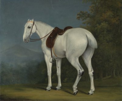 Een Grijze Jager van een Dame, ca. 1806 door Jacques Laurent Agasse