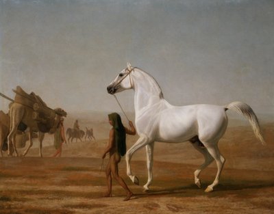 De Wellesley Grijze Arabier door de woestijn geleid door Jacques Laurent Agasse