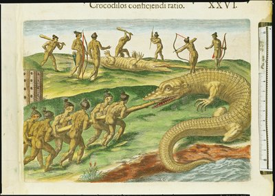 Jagen op Krokodillen, uit 