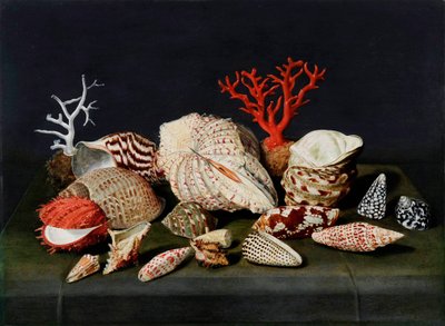 Stilleven met schelpen en koralen door Jacques Linard